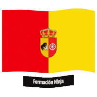 Castilla Y Leon Flag Sticker by Formación Ninja