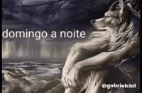 Sam South America Memes GIF