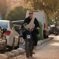 Dog Bike GIF by RTL