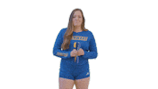 sign volleyball Sticker by Delaware Blue Hens