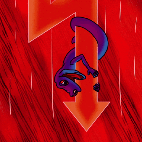 Crash Ada GIF by Snek