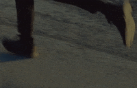 Philadelphia Philly GIF by Grayscale