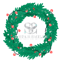 5Star Sticker by 5 Star Smiles