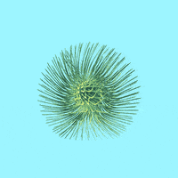 digital art GIF by krikrak