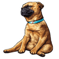 Fun Love Sticker by abana a cauda