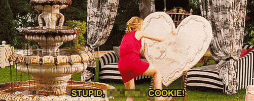 xr280xr giphyupload angry mad cookie GIF