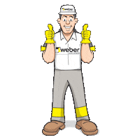 Afirmativo Thumbs Up Sticker by Weber - Saint Gobain