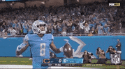 Detroit Lions Football GIF by NFL