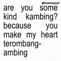 Text Brat GIF