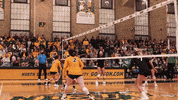 Glover GIF by NDSU Athletics
