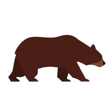 Brown Bear Sticker by Tourism Vancouver Island