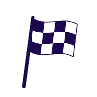 Flag Chequeredflag Sticker by wcrf