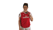 Arsenal Women Sticker by Barclays FAWSL