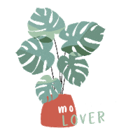 kikacarral branding create monstera behindthelion Sticker