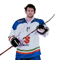 federazioneghiaccio hockey ice frank wintersport Sticker