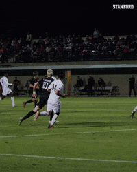 GIF by Stanford Athletics