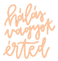 Koszonom Valentinnap Sticker