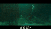 Shark Week Dive GIF by Signature Entertainment