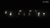 Netflix Television GIF by CBC