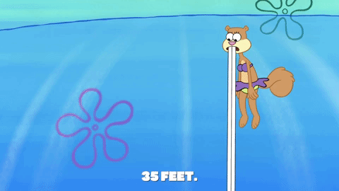 episode 1 GIF by SpongeBob SquarePants