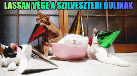 szilveszter cinyau GIF