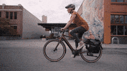 Artist Paint GIF by Wilderness Trail Bikes