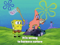 season 4 GIF by SpongeBob SquarePants