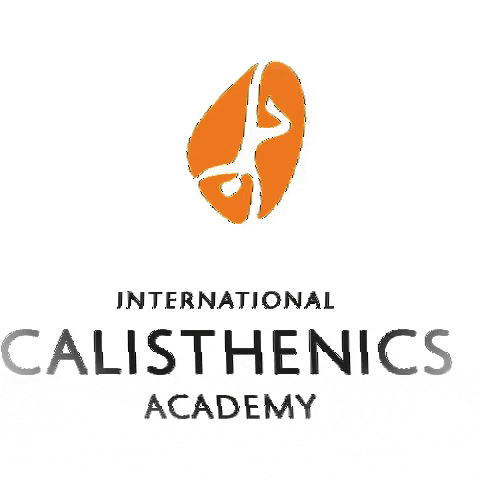 calisthenics-academy giphygifmaker calisthenics calisthenicsacademy calisthenics academy GIF