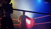 Vice Tv Fire GIF by DARK SIDE OF THE RING