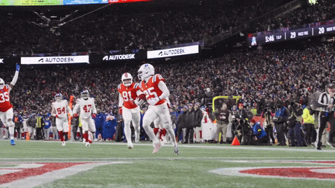 Football Nfl GIF by New England Patriots