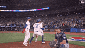 Home Run Canada GIF by Toronto Blue Jays