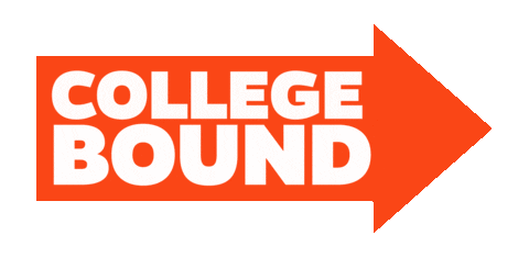 I Got In College Sticker by University of Florida