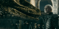 Aegon Targaryen House GIF