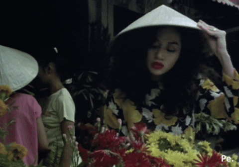 iampraveen giphyupload anita mui GIF