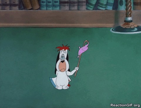 today everyone GIF