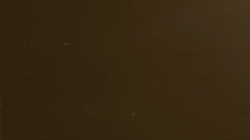 New England Christian GIF