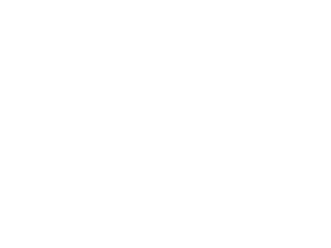 バラ 花 Sticker