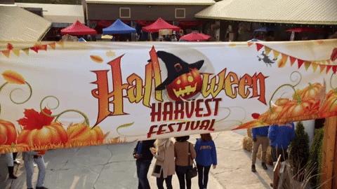 good witch halloween GIF by Hallmark Channel