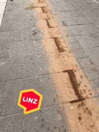 Austria View GIF by Linz News