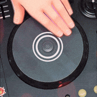 Party Dj GIF by mo.co
