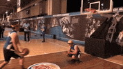 big cat chicago GIF by Barstool Sports
