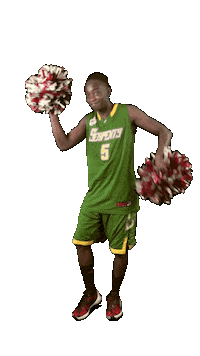 Basketball Fan Sticker by ACSL - Austrian College Sports League