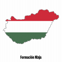 Hungary Flag GIF by Formación Ninja