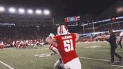 College Football GIF by Wisconsin Badgers