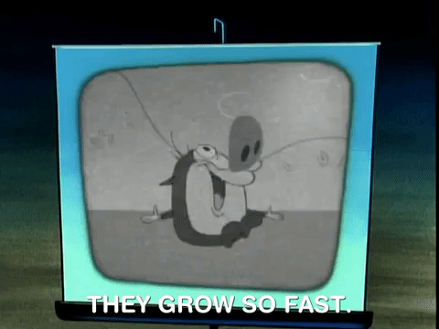 ren and stimpy nicksplat GIF
