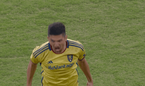 Vamos Lets Go GIF by Major League Soccer