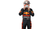 Ver Red Bull Sticker by Oracle Red Bull Racing