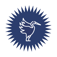 Freshman Sticker by Semmelweis Egyetem