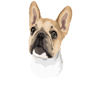 Sushipp Sticker by Pickle's Pawtraits