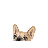Sushipp Sticker by Pickle's Pawtraits